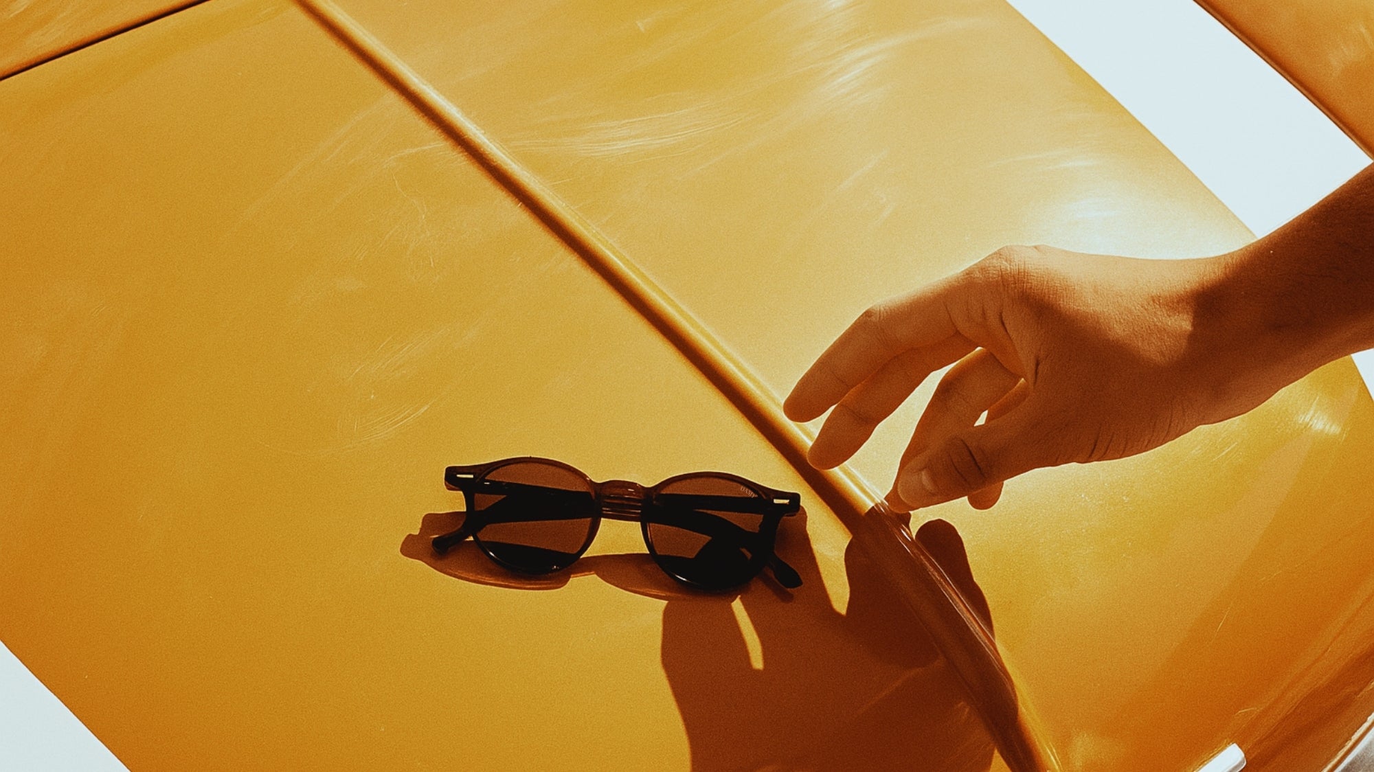 Banner Damy Club Sunglasses