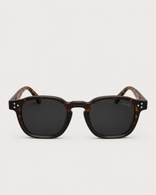 Havana Square Sunglasses